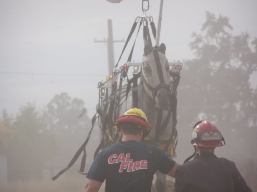 Plastic horse being airlifted