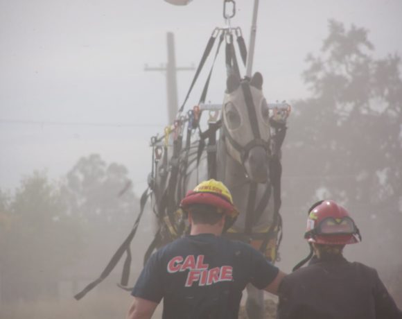 Plastic horse being airlifted